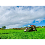 農村風景の画像13