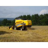 農村風景の画像14