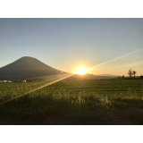 羊蹄山の写真16