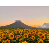 羊蹄山の写真20