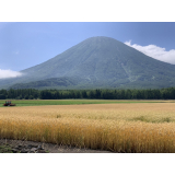 羊蹄山の写真21