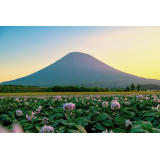 羊蹄山の写真23