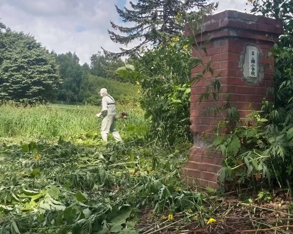 思い出の地をきれいにの画像1