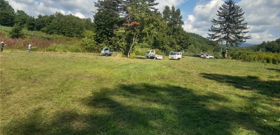 思い出の地をきれいにの画像2