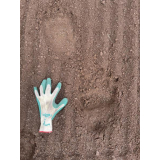 令和4年5月2日大富地区ヒグマの痕跡(足跡)の画像1