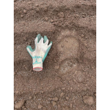 令和4年5月2日大富地区ヒグマの痕跡(足跡)の画像3