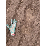 令和4年5月2日大富地区ヒグマの痕跡(足跡)の画像4