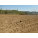 令和4年5月10日更進地区ヒグマの痕跡(足跡、フン)の画像1