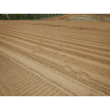 令和4年5月19日北岡地区ヒグマの痕跡(足跡)の画像3