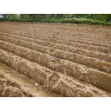 令和4年8月22日北岡地区ヒグマの痕跡(足跡)の画像2