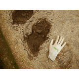 令和4年8月22日北岡地区ヒグマの痕跡(足跡)の画像3