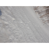 令和5年3月13日大富地区ヒグマの痕跡(足跡)の画像2