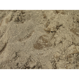 令和5年5月11日三崎地区ヒグマの痕跡(足跡)の画像1