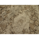 令和5年5月11日三崎地区ヒグマの痕跡(足跡)の画像4