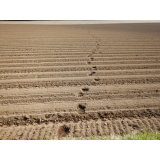 令和5年5月11日更進地区ヒグマの痕跡(足跡)の画像2