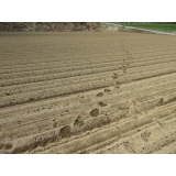 令和5年5月16日更進地区ヒグマの痕跡(足跡)の画像2