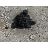 令和5年5月16日更進地区ヒグマの痕跡(糞、足跡)の画像3