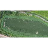 令和5年8月25日大富地区ヒグマの痕跡(食害)の画像1