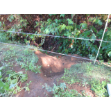 令和5年9月22日大富地区ヒグマの痕跡(食害、掘削)の画像2