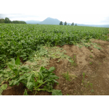 令和6年8月2日脇方地区ヒグマ痕跡（食害、足跡）の画像2