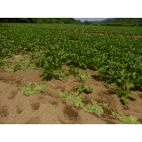 令和7年7月1日北岡地区ヒグマ痕跡の画像1