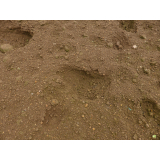 令和7年7月27日大富地区ヒグマ足跡の画像2