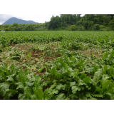 令和7年8月6日更進地区ヒグマ食害の画像1