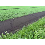 令和7年8月19日三崎地区ヒグマ足跡の画像1