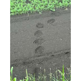 令和7年8月19日三崎地区ヒグマ足跡の画像2