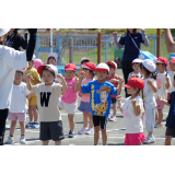 保育園運動会（2025）の画像3