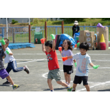 保育園運動会（2025）の画像5