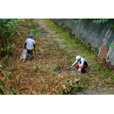 ワッカタサップ川クリーン作戦を開催しました（2025）の画像3