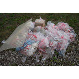 ワッカタサップ川クリーン作戦を開催しました（2025）の画像4