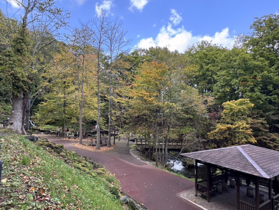 紅葉の様子（10月8日）の画像1