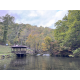 紅葉の様子（10月8日）の画像2