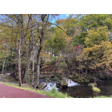 紅葉の様子（10月8日）の画像3