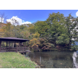 紅葉の様子（10月8日）の画像4