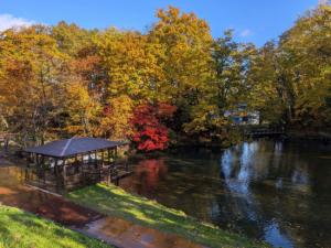 紅葉の様子（10月20日）の画像1
