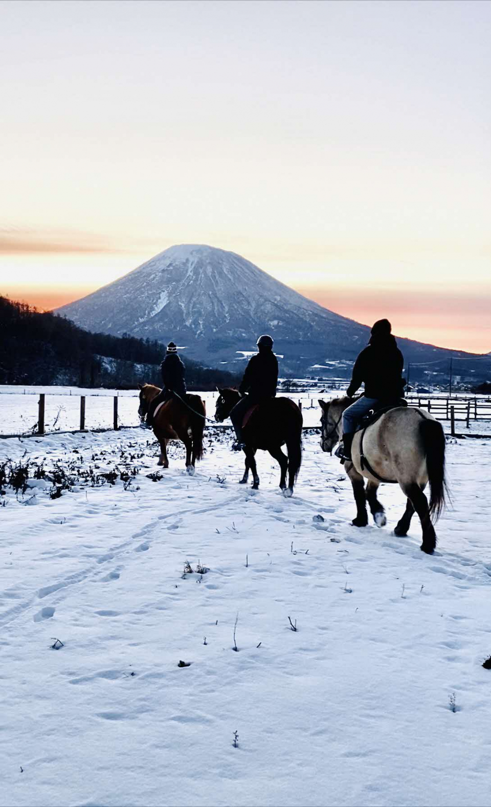 こんな景色での乗馬、幸せだ。の画像