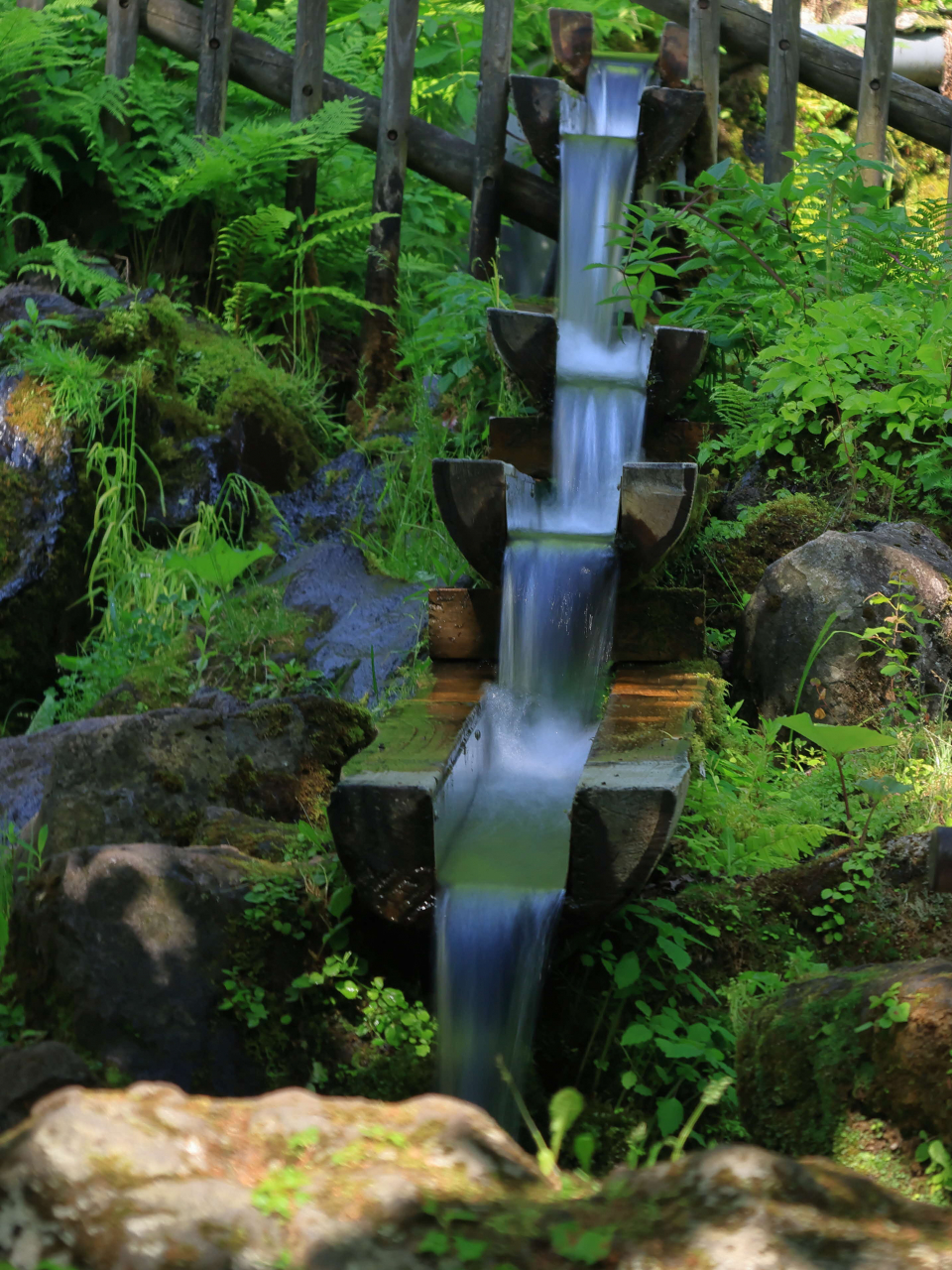 色づく清流の画像