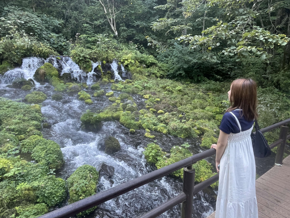 ただ静かに穏やかにの画像