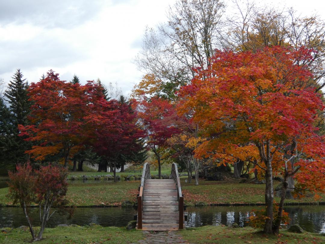 紅葉